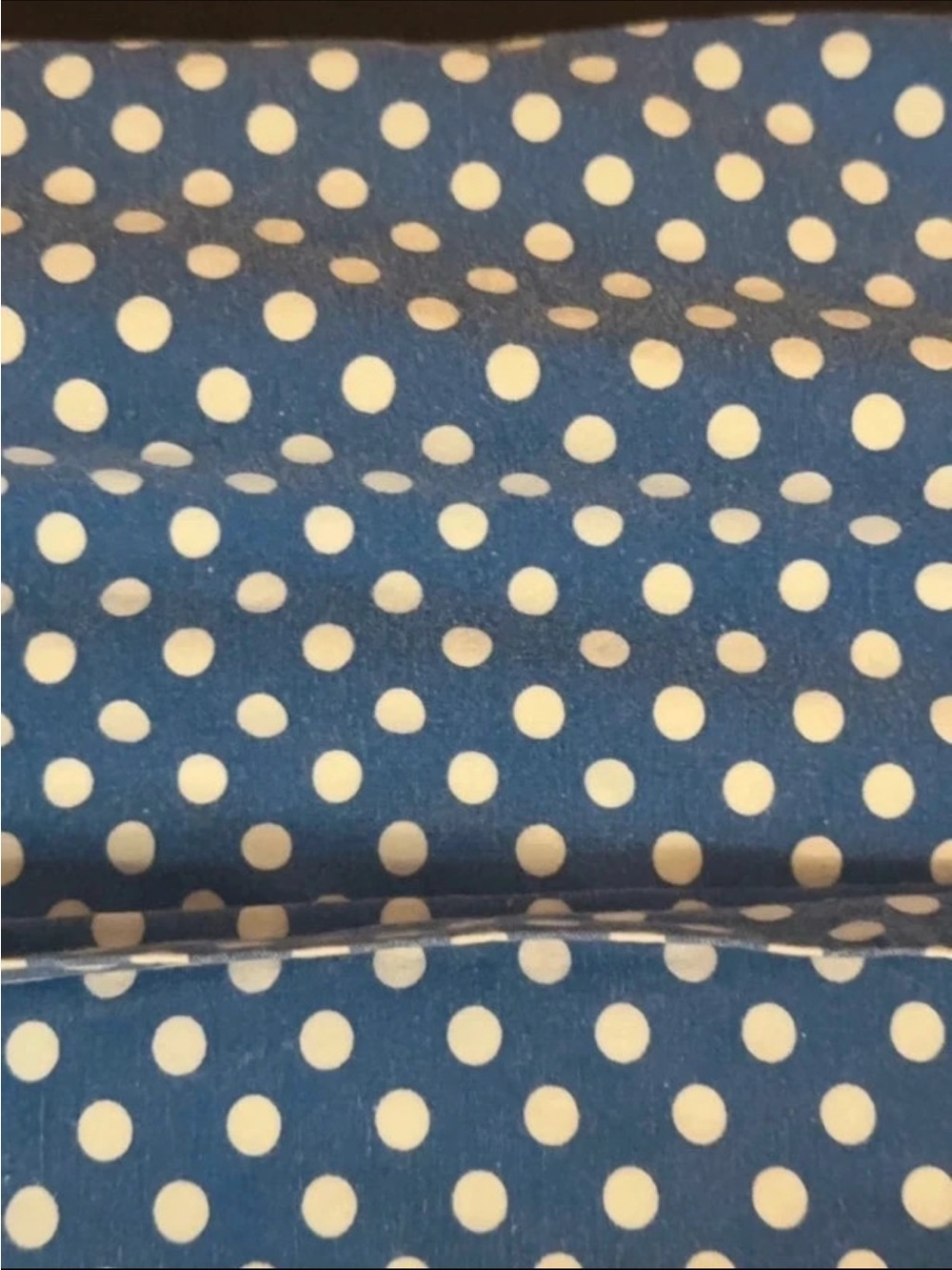 Two Ralph Lauren Cotton Pillowcases